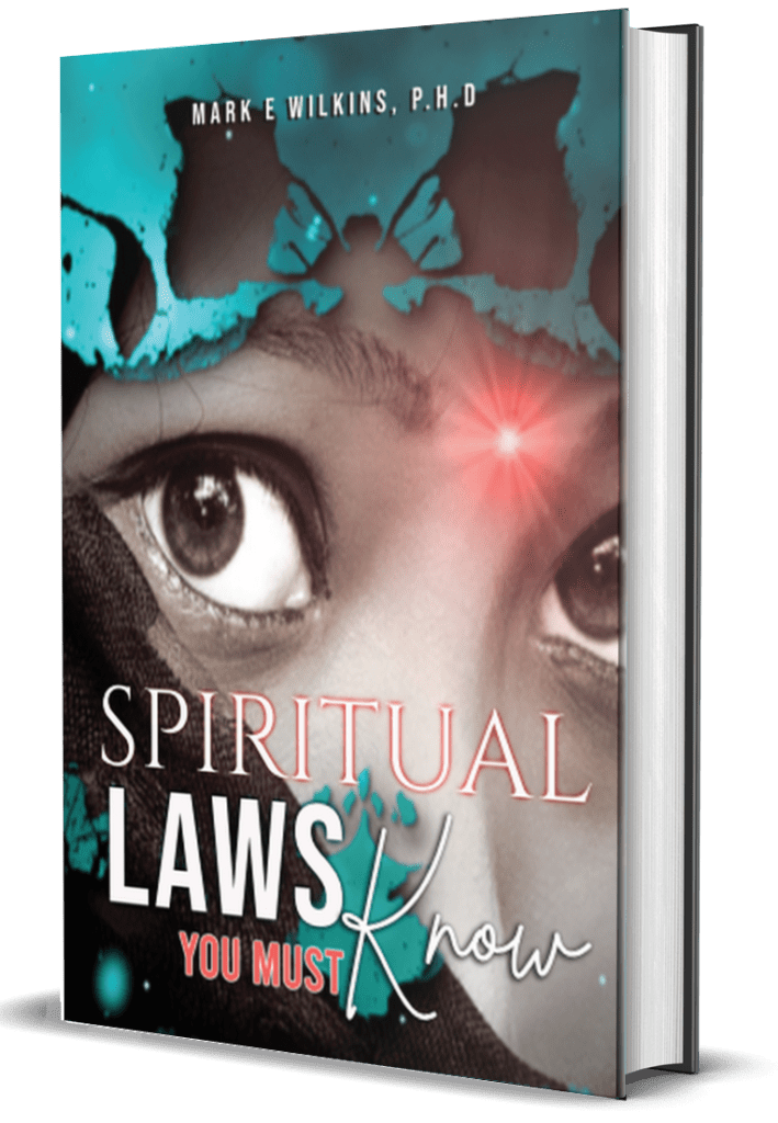 Spiritual Laws You Must Know A Book By Mark Wilkins