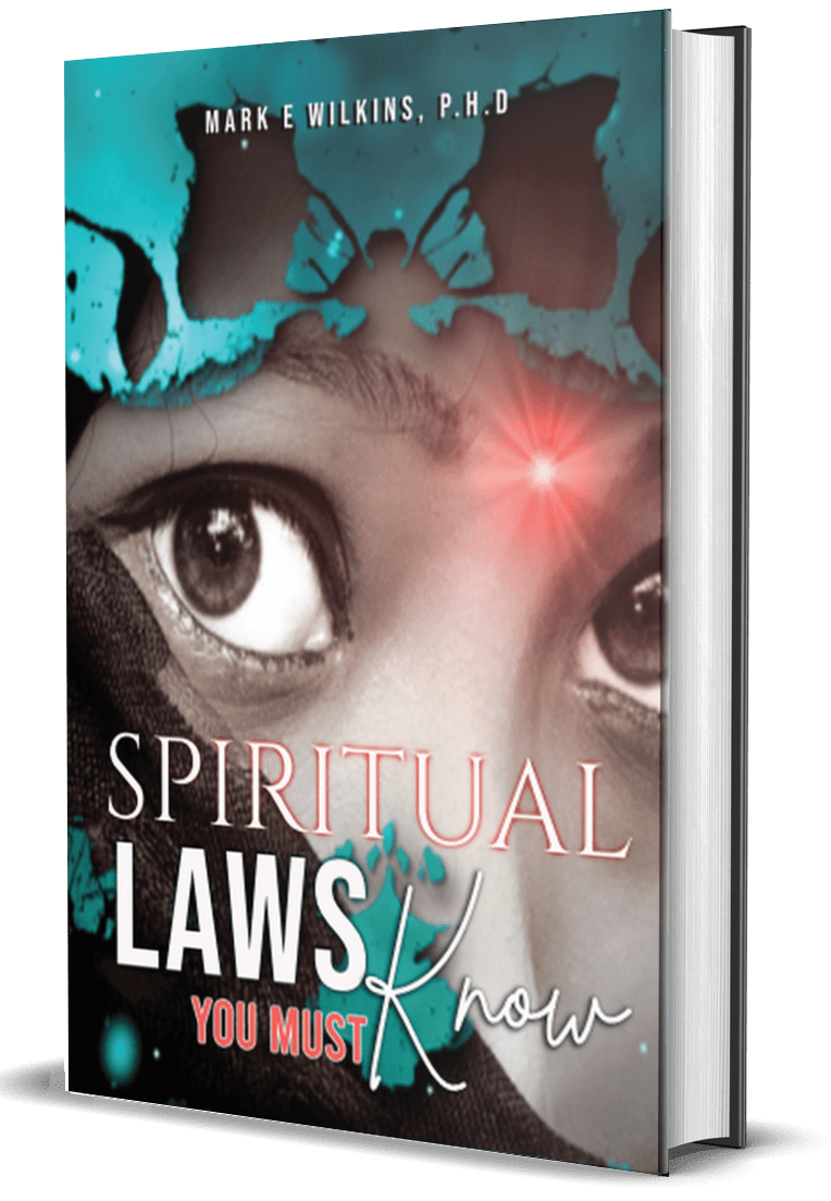 spiritual laws you must know a book by mark wilkins