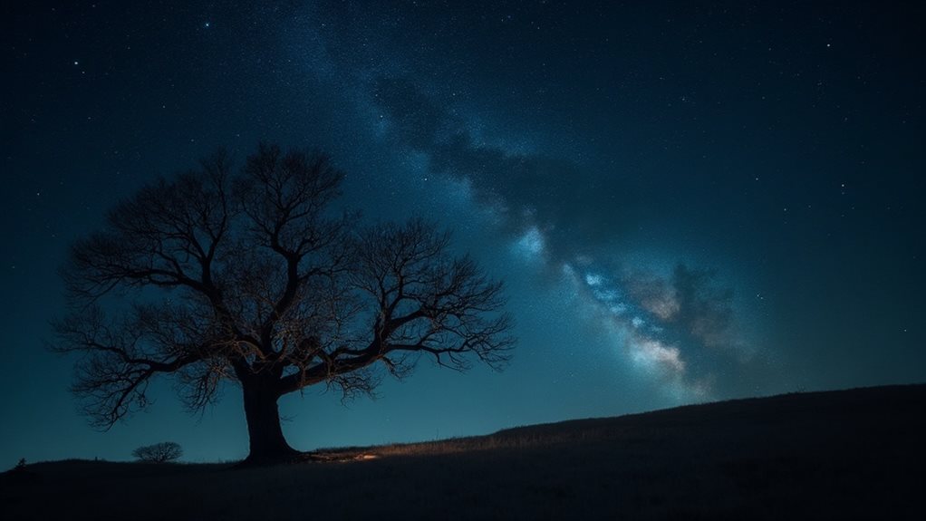 cause and effect dynamics